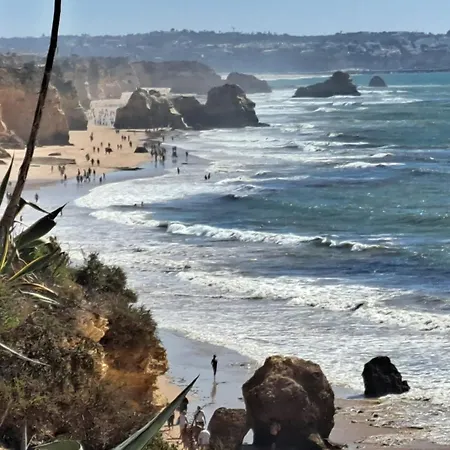 Rosa - Da Rocha 波尔蒂芒