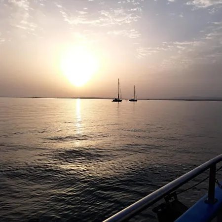 Rosa - Da Rocha 波尔蒂芒